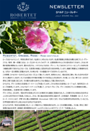 6月表面
