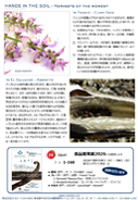 10月裏面