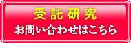 化粧品OEM シャロームへのお問合せはコチラ