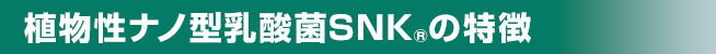 植物性ナノ型乳酸菌SNK®の特徴