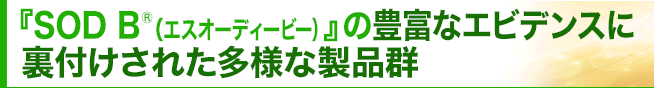 『SOD B』の多様な製品群