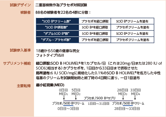 二重盲検無造作プラセボ対象試験