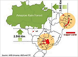 原料のさとうきびがブラジルの国策に後押しを受けた圧倒的な供給量を誇る 