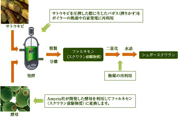 Amyris社（アミラス社）の技術基盤をもとに、日光ケミカルズが技術を提供しシュガースクワラン®は商品化された。