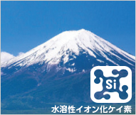 Mt.Fujiケイ素