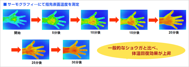 冷え症対応素材　ショウガ麹の臨床実験結果