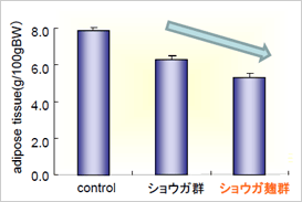 ショウガ群VSショウガ麹群