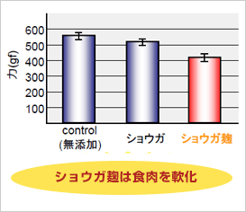 ショウガ麹は肉食を軟化（実験結果）