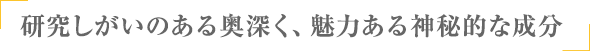 研究しがいのある奥深く、魅力ある神秘的な成分