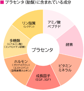 プラセンタ（胎盤）に含まれている成分