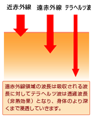 テラヘルツ波、赤外線の比較