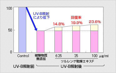 UV-Bによるダメージ回復結果