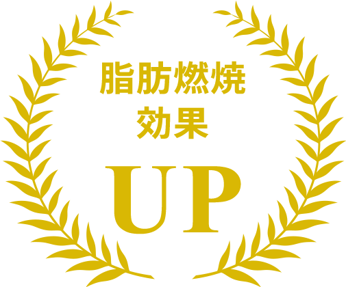 脂肪燃焼効果UP