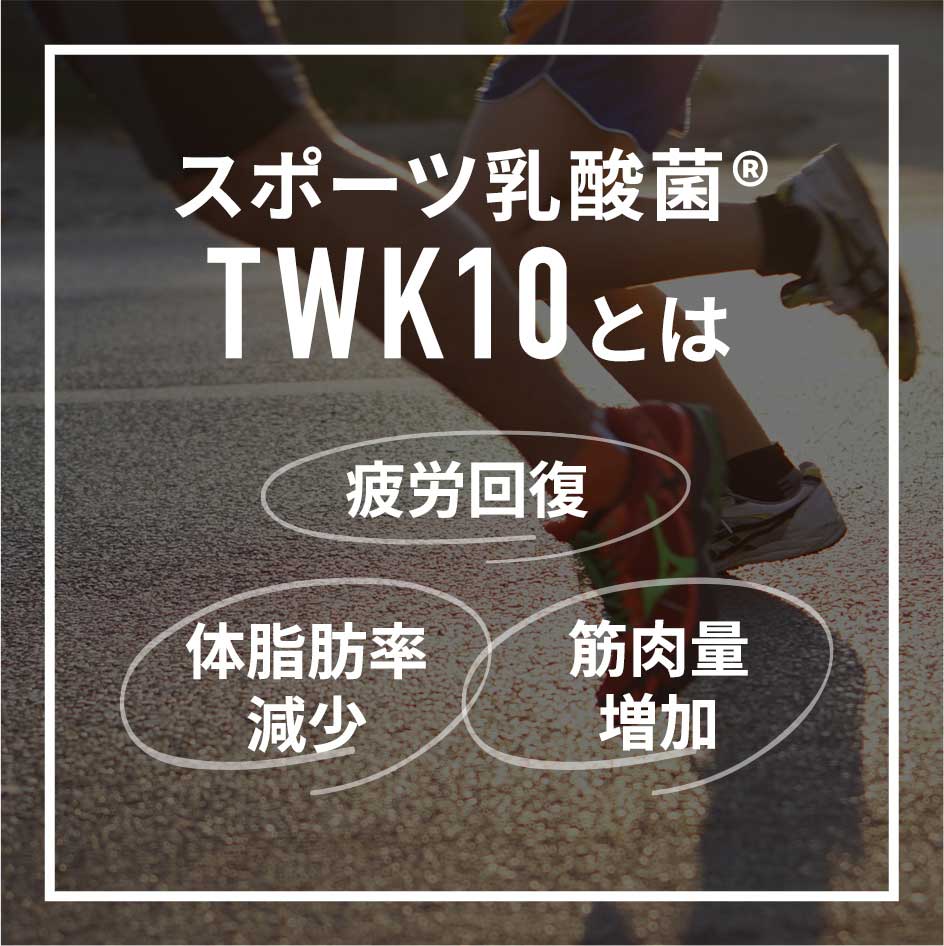 乳酸菌TWK10