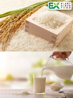 お米の糖化液（RICE糖化液）