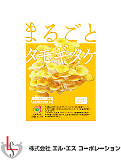 まるごとタモギタケ　株式会社エル・エスコーポレーション