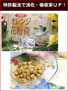 オレンジ花粉荷　パワフル健康食品株式会社