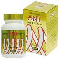 ANT 株式会社シンギー