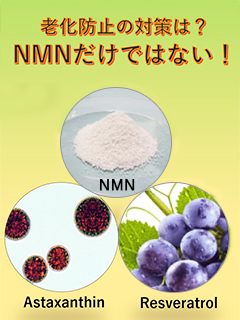 β−NMN