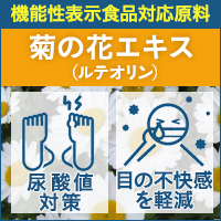 オリザ油化株式会社　菊の花エキス［機能性表示対応素材］