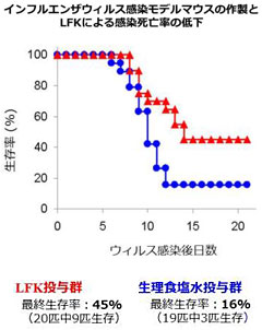 乳酸菌フェカリスLFK