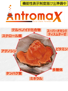Antromax®（ベニクスノキタケエキス末）