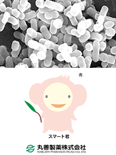 乳酸菌類なら スマート乳酸菌 Sup Sup 死菌mf 丸善製薬株式会社 健康美容expo