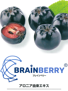 ブレインベリー®（BRAINBERRY®）