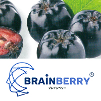 CBC株式会社　ブレインベリー®（BRAINBERRY®）