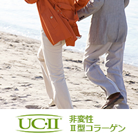 臨床試験で立証された機能性表示対応の関節ケア素材「UC-II®（非変性II型コラーゲン）」　ロンザ株式会社