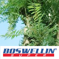 株式会社サビンサ ジャパン コーポレーション　ボスウェリン®スーパー（Boswellin®SUPER）