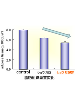 ショウガ麹