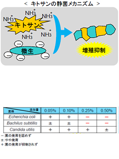 Y.H.キトサンKII　ヤヱガキ醗酵技研株式会社