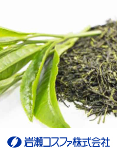 GREEN TEA PE（チャ抽出物、緑茶抽出物）　岩瀬コスファ株式会社