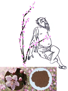 白桃花