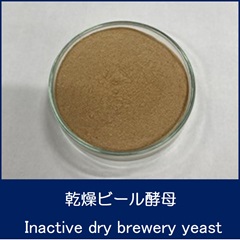 乾燥ビール酵母　Inactive Dry Brewery Yeast　セティ株式会社