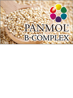 キヌアスプラウトパウダー　PANMOL（パンモール）　B-コンプレックス　[コーシャー、ハラル対応素材]　セティ株式会社