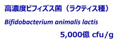 高濃度ビフィズス菌（ラクティス種）　5,000億 cfu/g