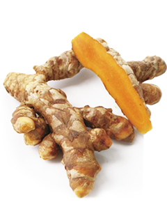 Turmeric extract CPE-024　  [コーシャー、ハラル対応素材]　セティ株式会社