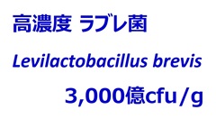 高濃度ラブレ菌  3,000億cfu/g