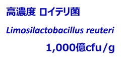 高濃度ロイテリ菌  1,000億cfu/g