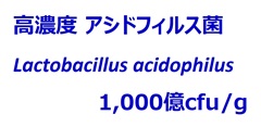 高濃度アシドフィルス菌  1,000億cfu/g