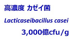 高濃度カゼイ菌  3,000億cfu/g