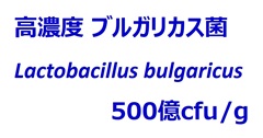 高濃度ブルガリカス菌  500億cfu/g