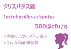 クリスパタス菌  500億cfu/g