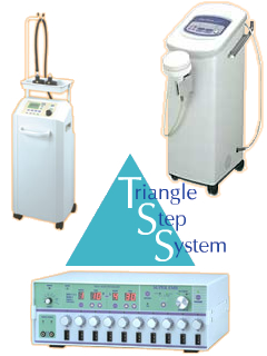 トライアングルステップシステム　メビコ・ジャパン株式会社（旧社名　株式会社ジャパンエステティック協会）