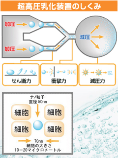 化粧品OEM・医薬部外品OEM　企画開発・製造販売