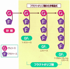 メイオリゴ（フラクトオリゴ糖）