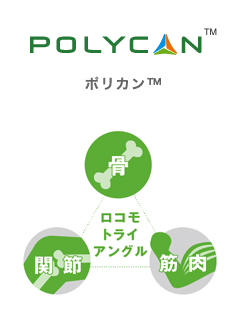 Polycan（ポリカン）　黒酵母（アウレオバシジウム）培養液