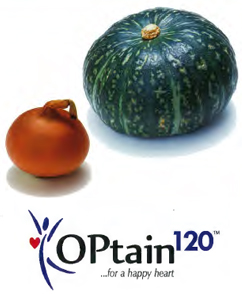 オニオン・パンプキンエキス末 OPtain120® （オプテイン120）　株式会社龍泉堂